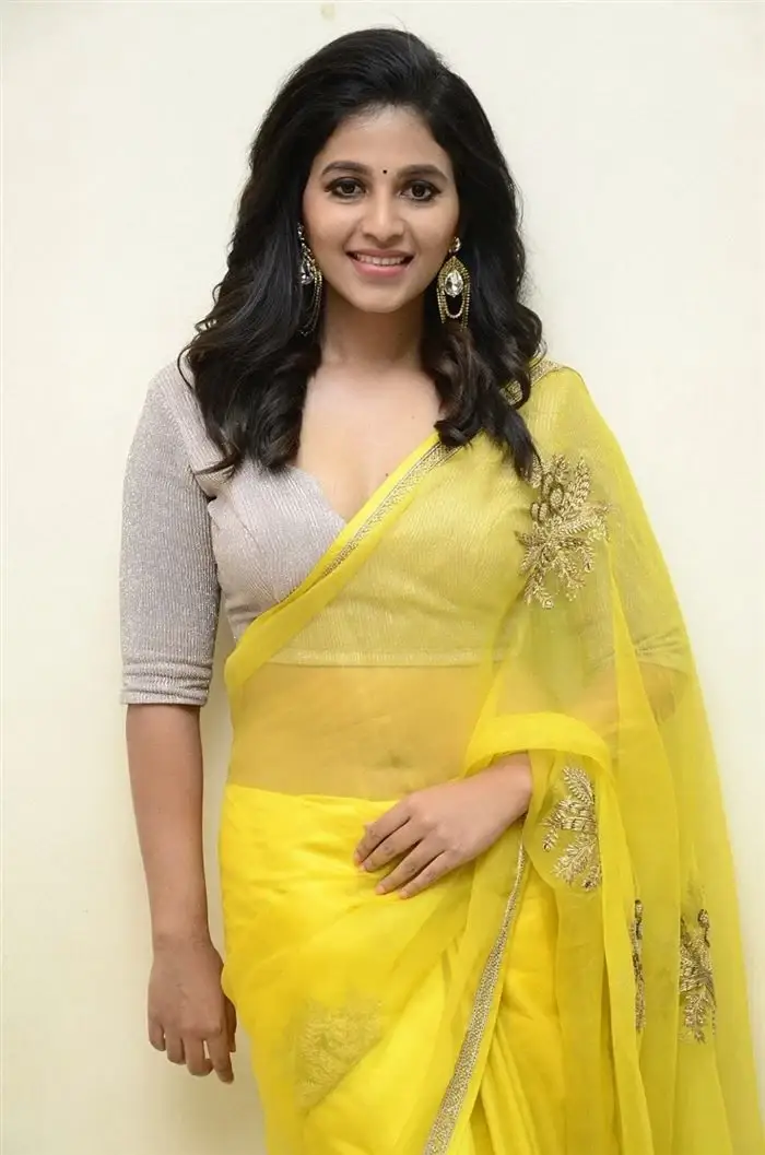 SOUTH INDIAN ACTRESS ANJALI STILLS IN TRADITIONAL LEMON YELLOW SAREE 11